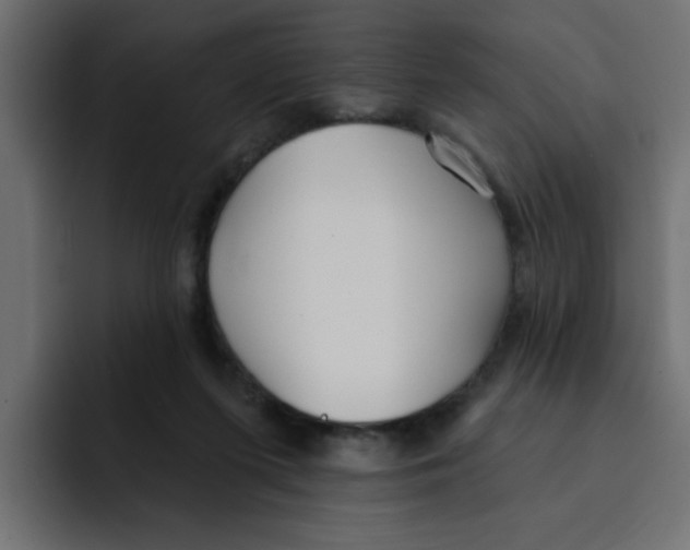 X0000092010215200710041031