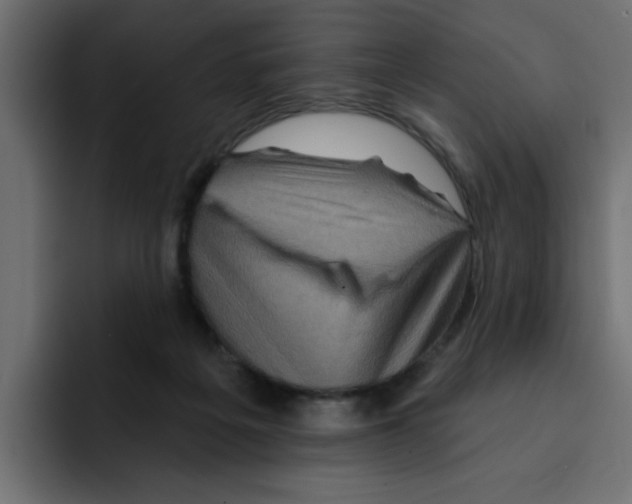X0000092010217200710041031