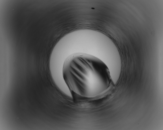 X0000092010219200710041031