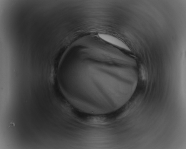 X0000092010223200710041031