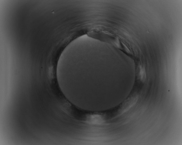 X0000092010224200710041031