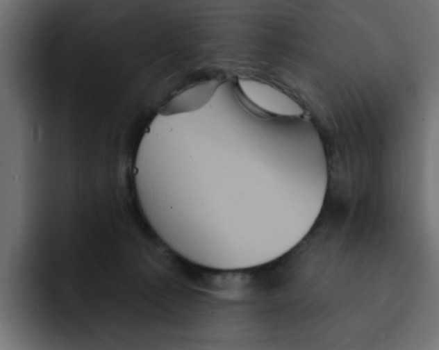 X0000092010225200710041031