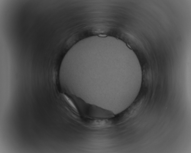 X0000092010227200710041031