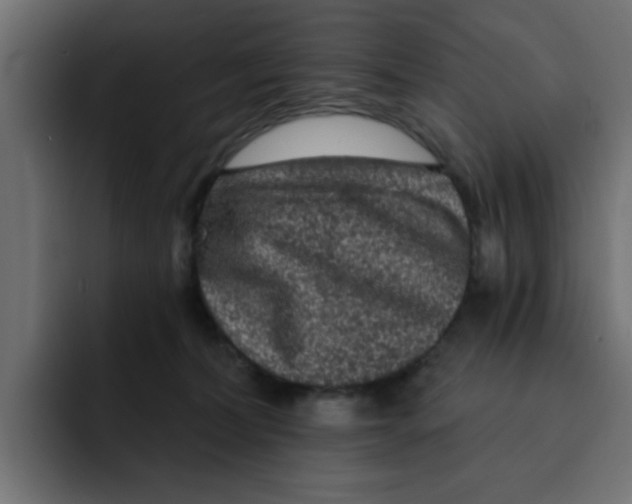 X0000092010228200710041031