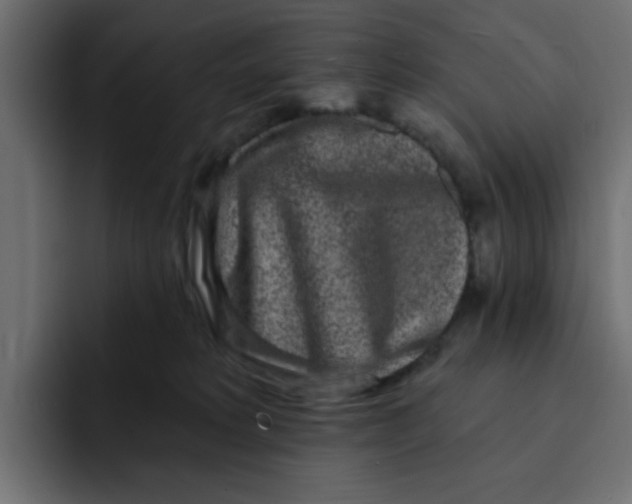 X0000092010229200710041031