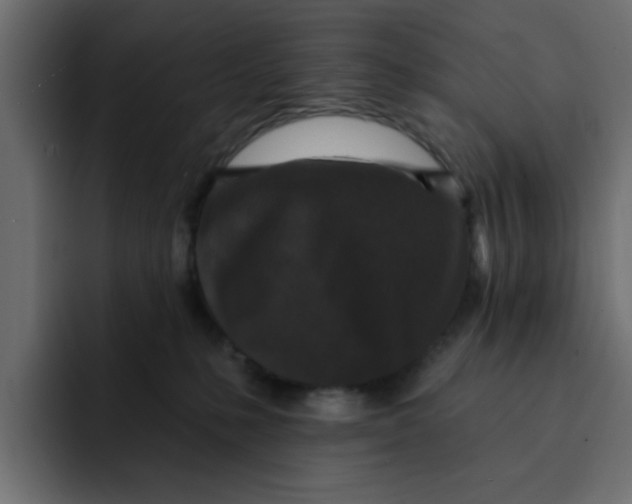 X0000092010231200710041031