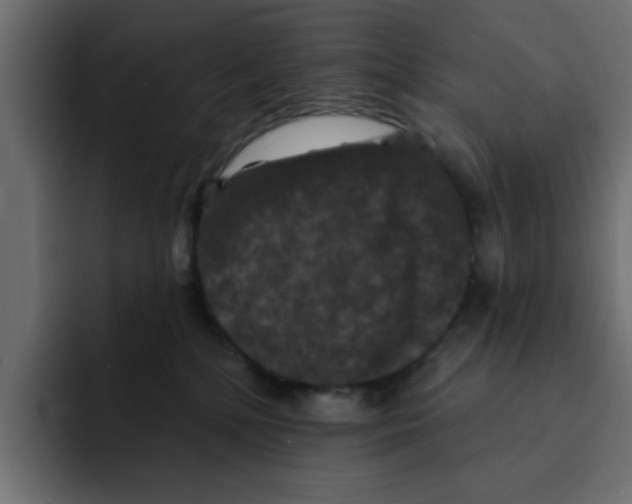 X0000092010232200710041031