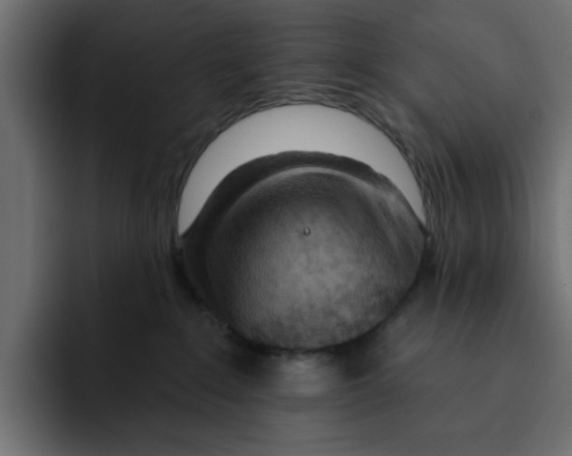 X0000092010235200710041031