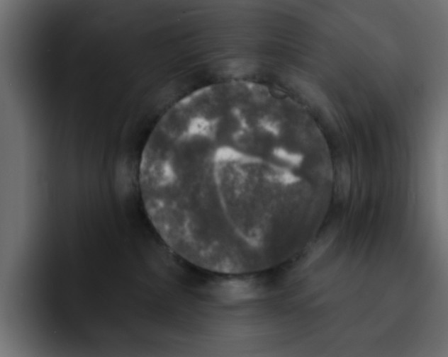 X0000092010236200710041031