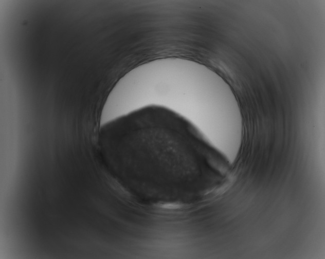 X0000092010237200710041031
