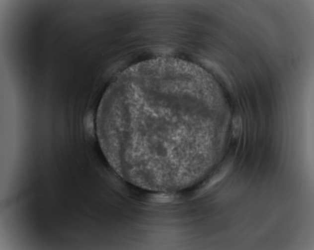X0000092010238200710041031