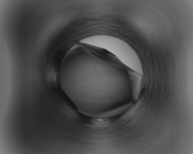 X0000092010239200710041031