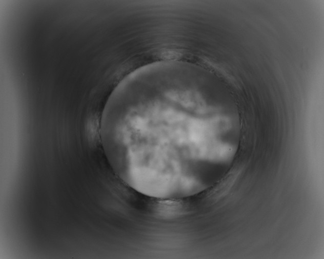 X0000092010240200710041031