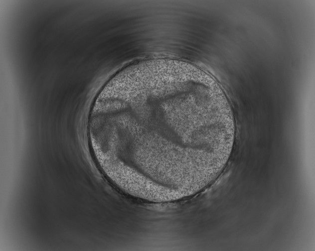 X0000092010241200710041030