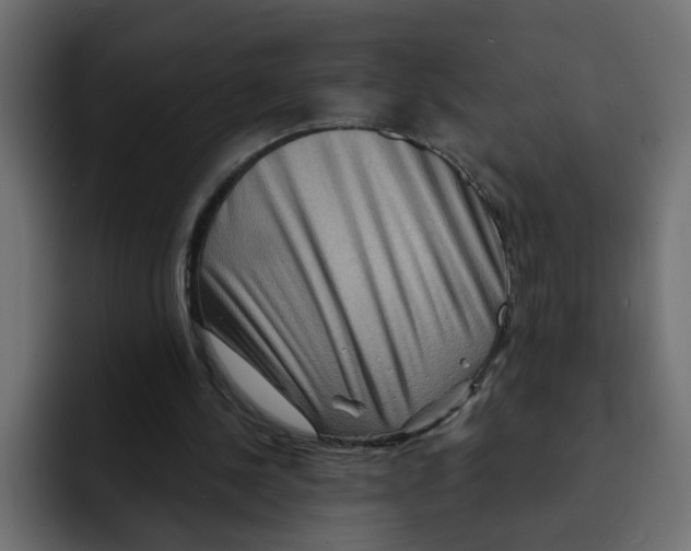 X0000092010244200710041030