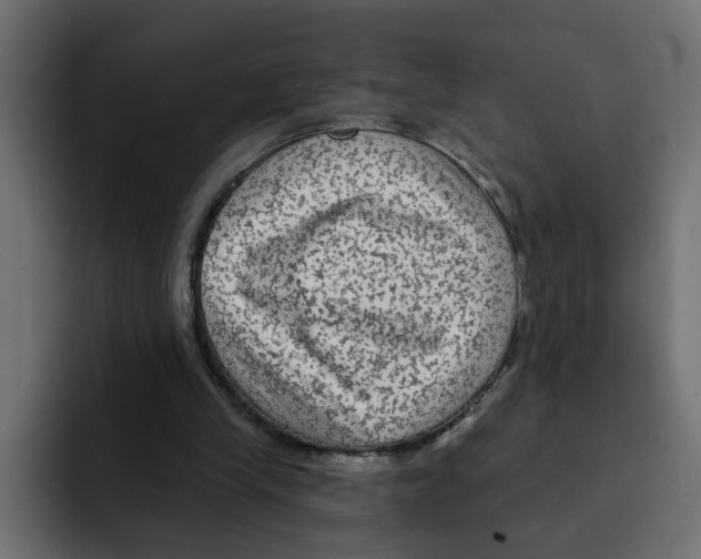 X0000092010245200710041031