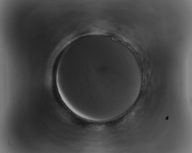 X0000092010247200710041031