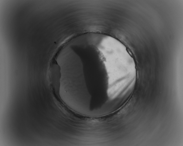 X0000092010249200710041031