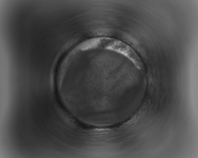 X0000092010250200710041031