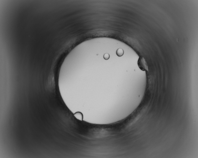 X0000092010254200710041031