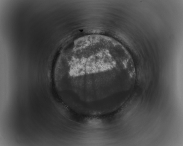 X0000092010258200710041031