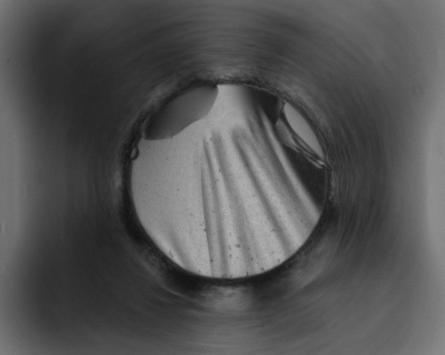 X0000092010260200710041031