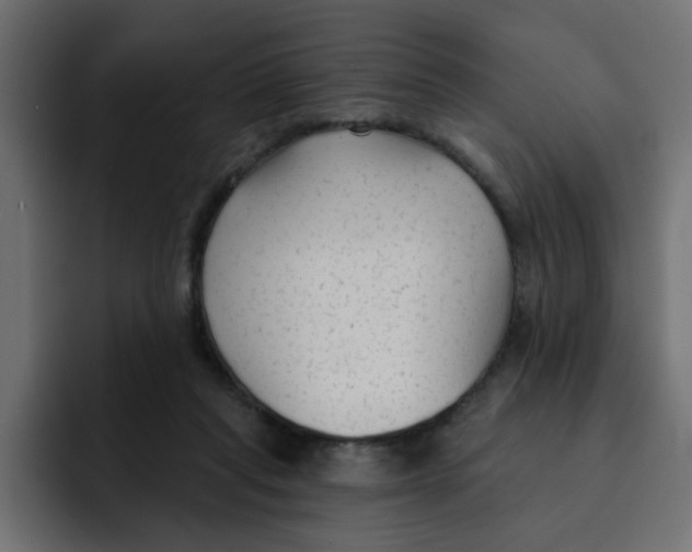 X0000092010261200710041031