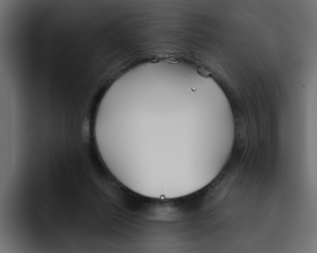 X0000092010262200710041031