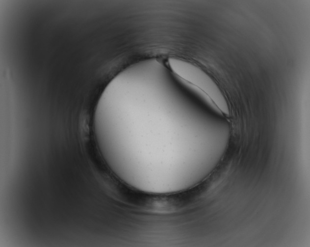 X0000092010264200710041031