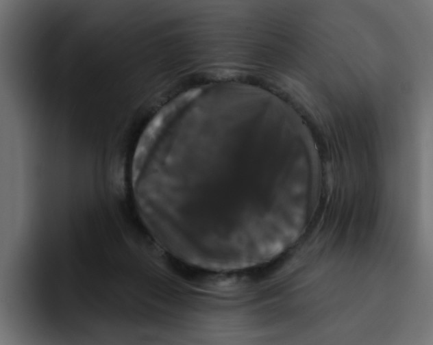 X0000092010267200710041031