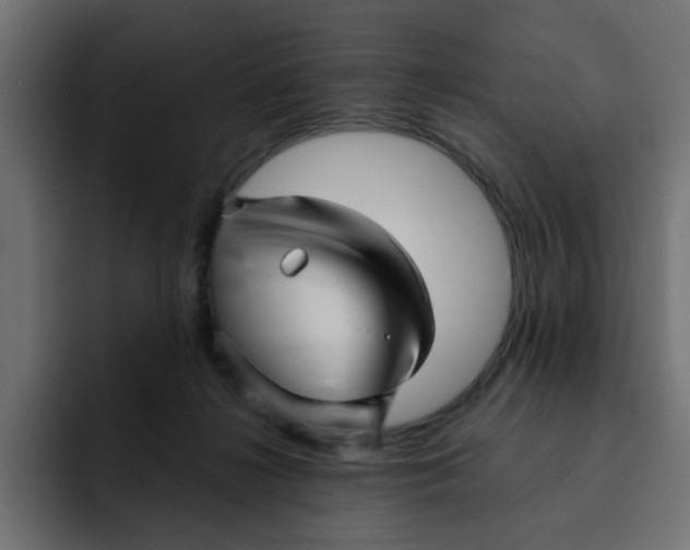 X0000092010268200710041031