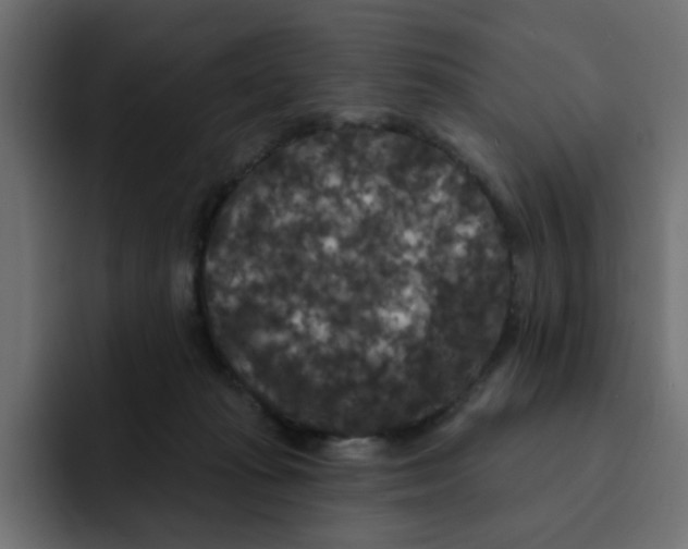 X0000092010269200710041031