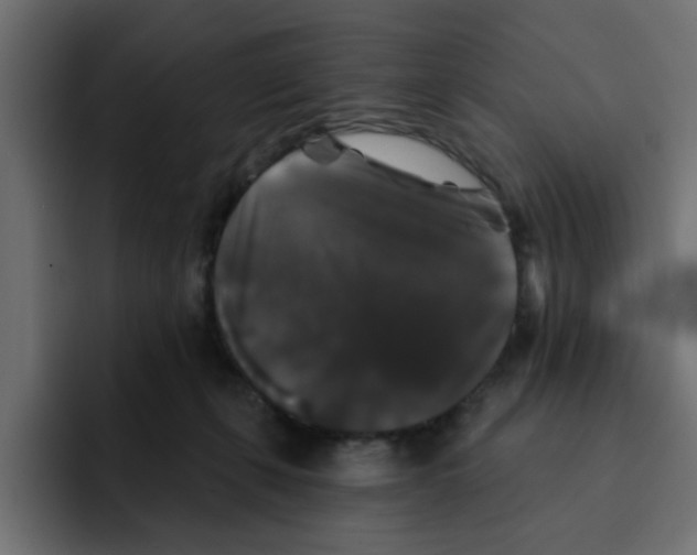 X0000092010271200710041031