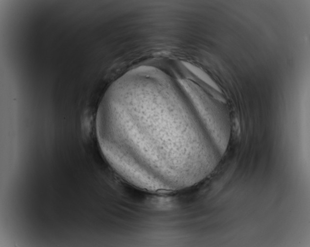X0000092010276200710041031