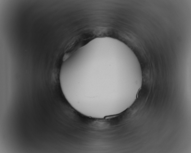 X0000092010280200710041031