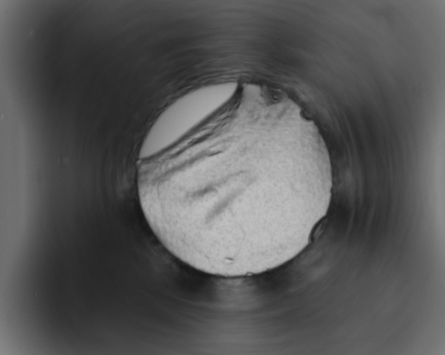 X0000092010281200710041031
