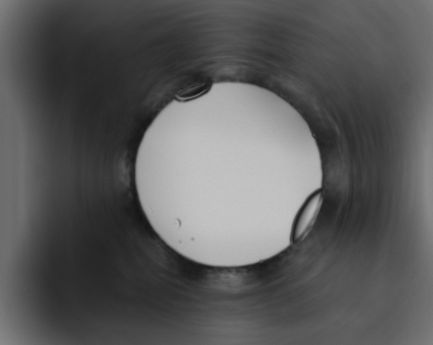 X0000092010282200710041031