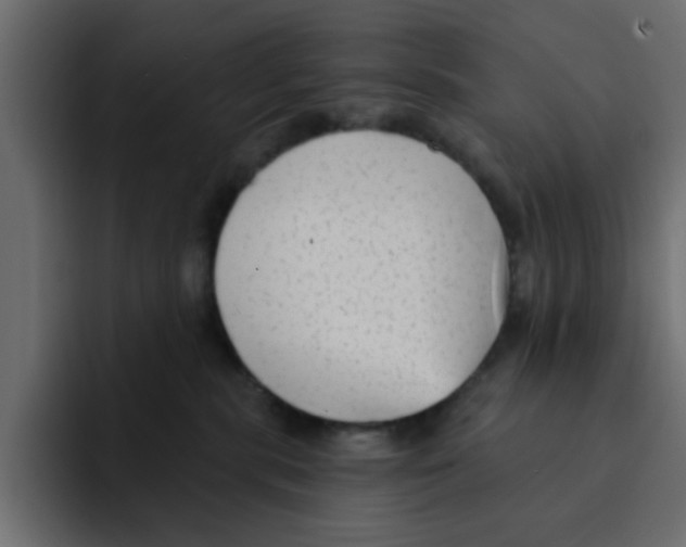 X0000092010283200710041031