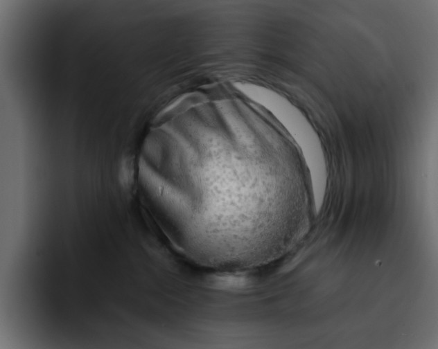 X0000092010284200710041031