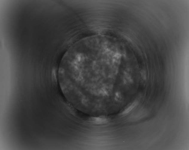 X0000092010286200710041031