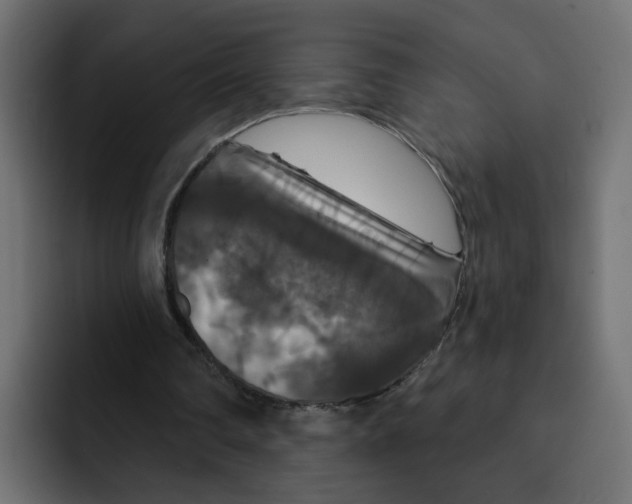 X0000092010290200710041030