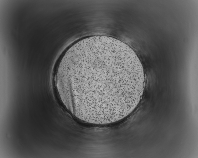 X0000092010292200710041030