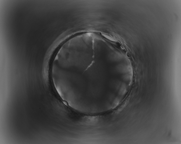 X0000092010295200710041030