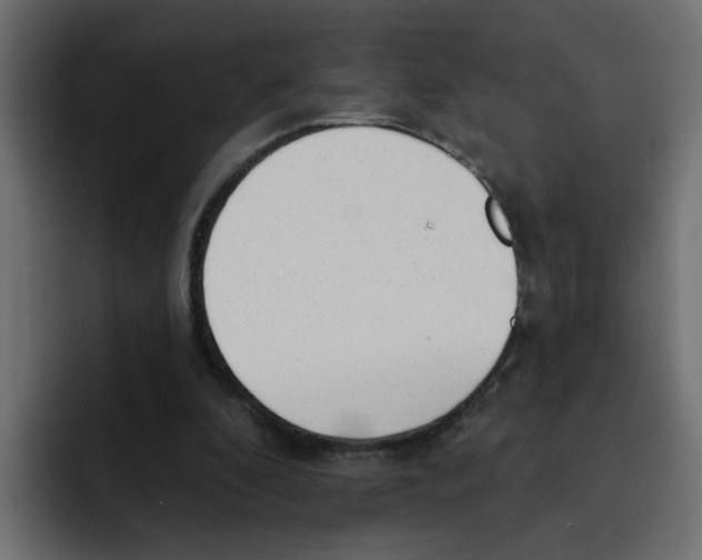 X0000092010296200710041030