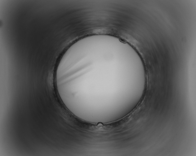 X0000092010297200710041030