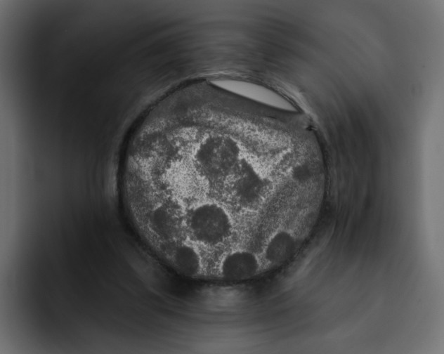 X0000092010299200710041030