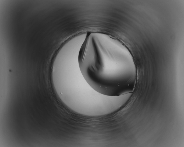 X0000092010301200710041030