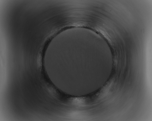 X0000092010303200710041030