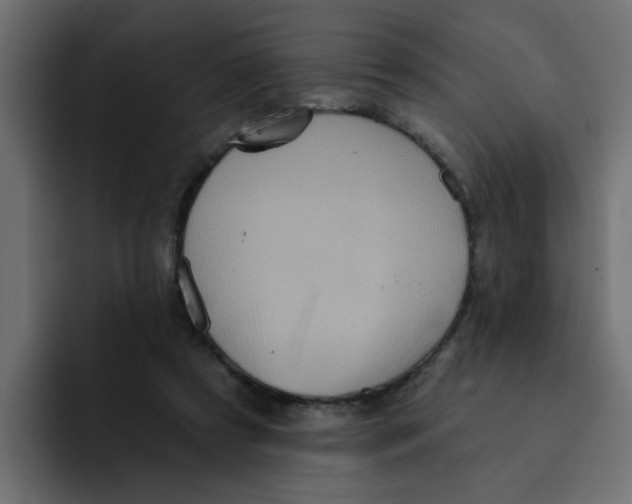 X0000092010305200710041030