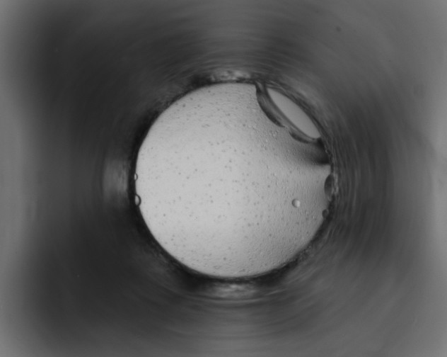X0000092010315200710041030